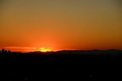 DSC_1485 (Large).JPG